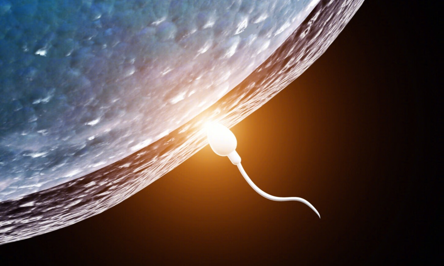 精子核DNA碎片率（DFI）与生育