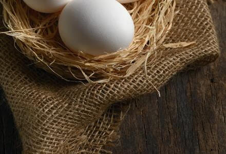 吃鸡蛋里的蛋黄会让人长胖？