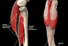 膝关节前交叉韧带术后康复方法