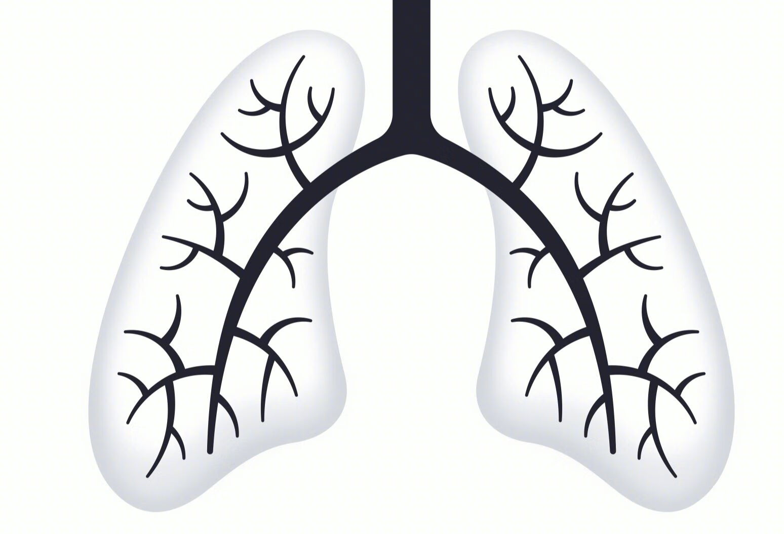 肺，一个「受不了气」的器官