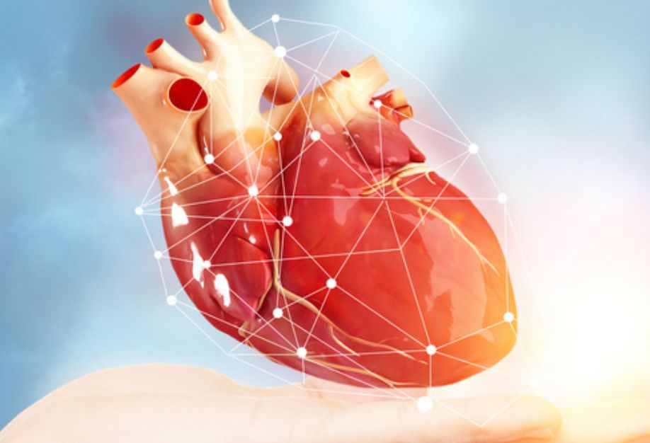 心律失常应该怎么预防呢？