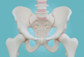 骨盆倾斜损害健康，关注人体平衡的“骨骼枢纽”