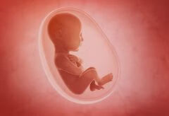 预防胎儿畸形，我们应该怎么做？
