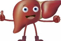 肝脏-人体的安全卫士
