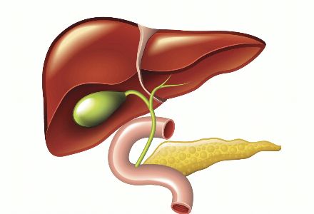 胆囊癌饮食防治的4个方法是什么？