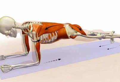 腰椎、脊柱损伤、骨质疏松不适合做平板支撑