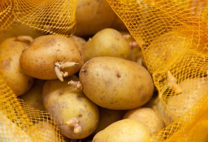 土豆发芽、红薯发霉，会对身体造成伤害