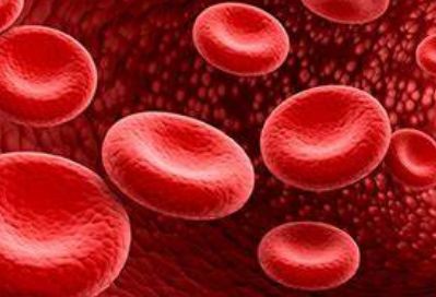 什么原因可以引起人体内的红细胞增高减低？