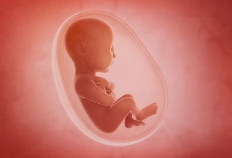 四维彩超对胎儿有害吗？