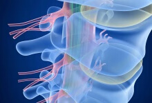 急性脊髓炎能治疗好吗 四个方法治好急性脊髓炎