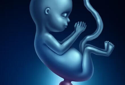 细菌性阴道炎对胎儿发育的影响
