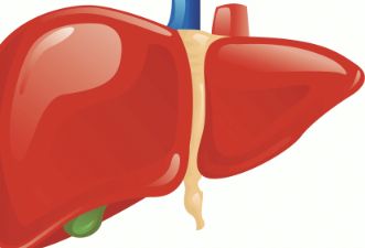 详细阐述肝脏对人体的作用，读完就会明白肝脏有多重要