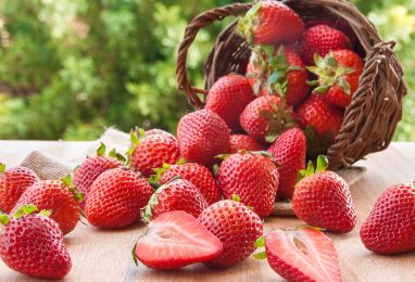 草莓可口美味，没洗就吃会导致呕吐腹泻