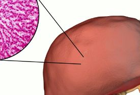 大三阳肝炎有什么症状？