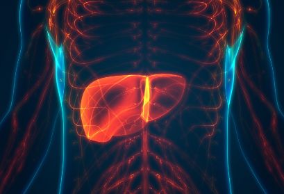 如何预防他汀类降脂药对肝脏的损害？这5点需要注意