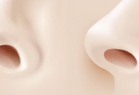 鼻咽癌的各种症状是什么？主要临床表现有哪些？
