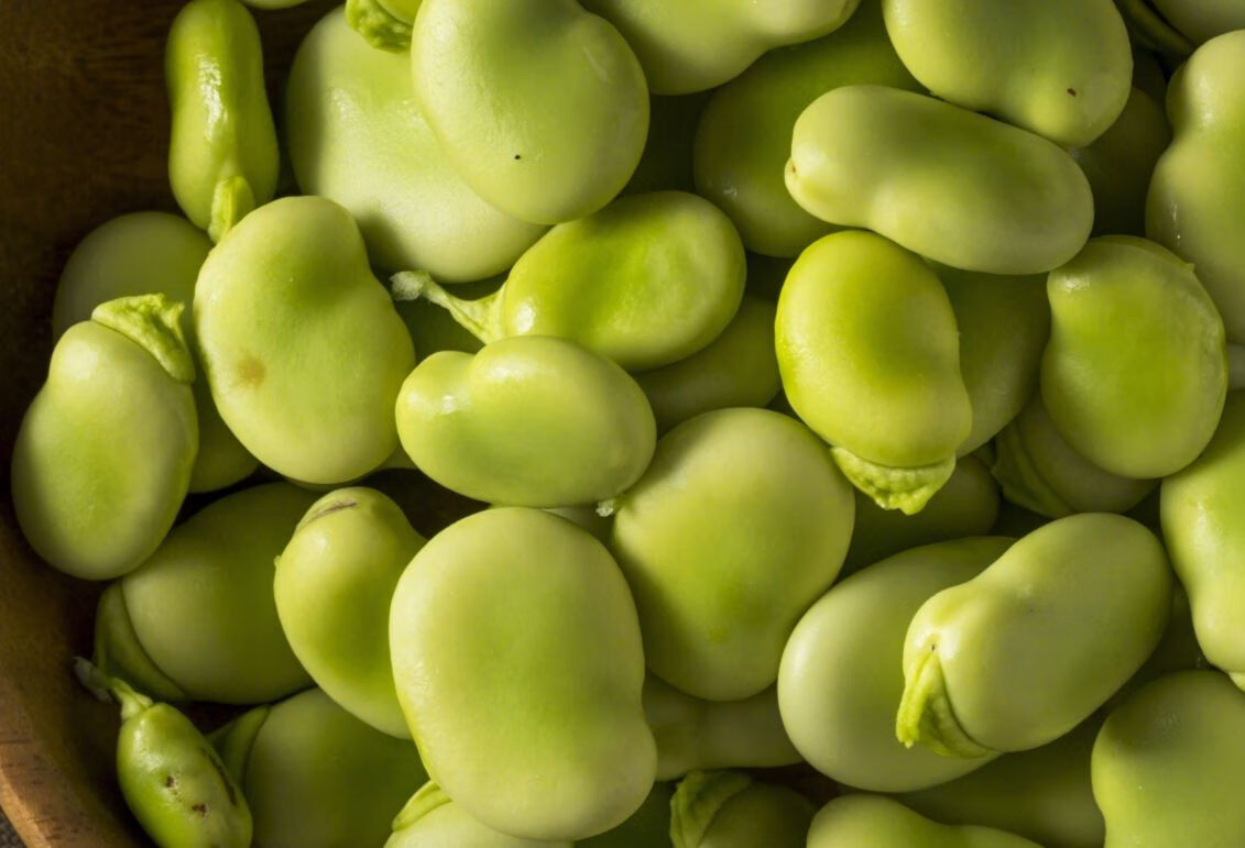 甲状腺结节不能吃黄豆吗?