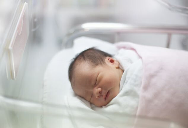 该如何对早产儿进行日常的护理呢？