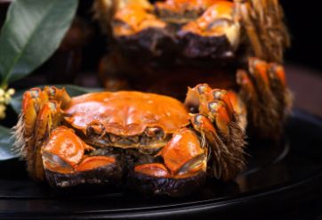 防止螃蟹中毒，在蒸螃蟹时可放一味中药
