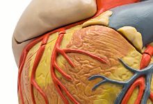 急性心肌炎有什么症状？