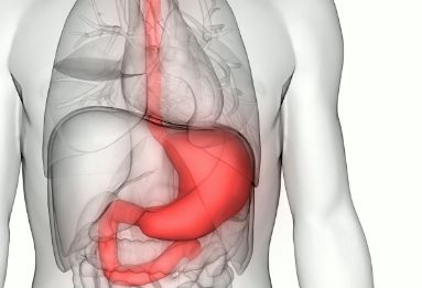 国际护胃日：为你解读护胃误区
