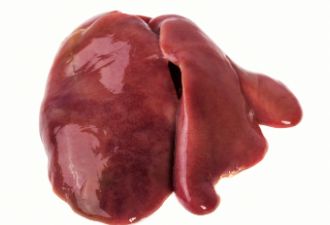人体最重要的器官--肝脏