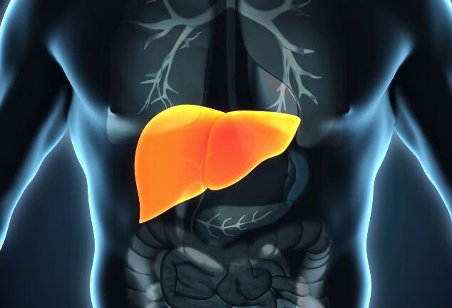 肝脏开始硬化时通常会发出什么信号？