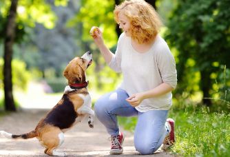 狗狗会得肺炎冠状病毒，会传染给人吗？