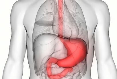 胃下垂是由什么原因引起的？如何治疗？