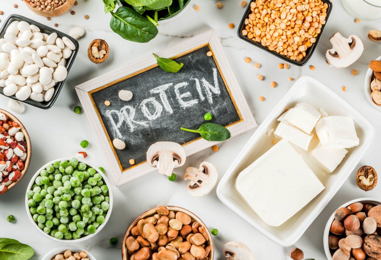 吃蛋白质粉会长肌肉吗？蛋白质粉如何挑选？