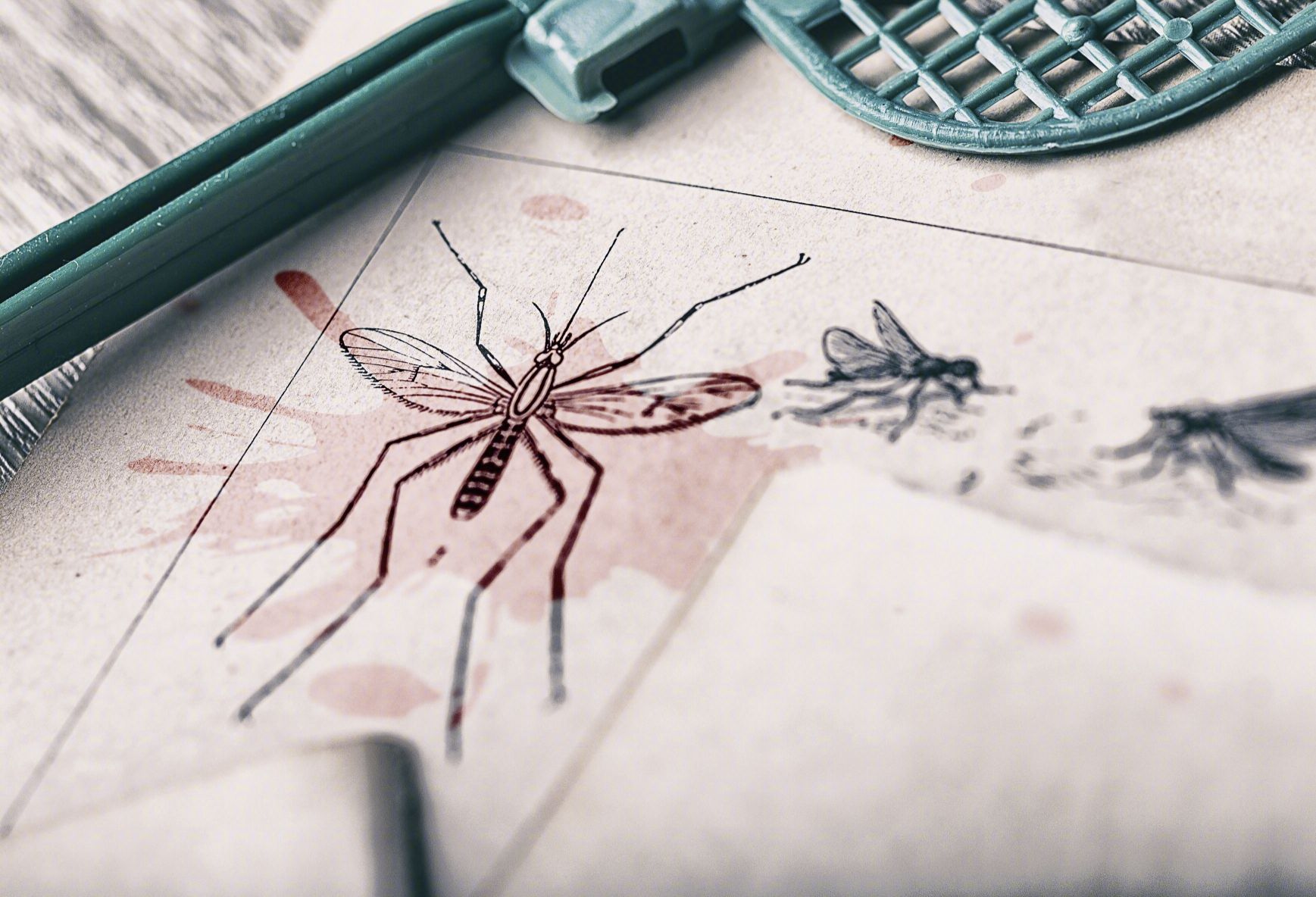 “全国疟疾日”：来认识一下这个比人类更古老的敌人