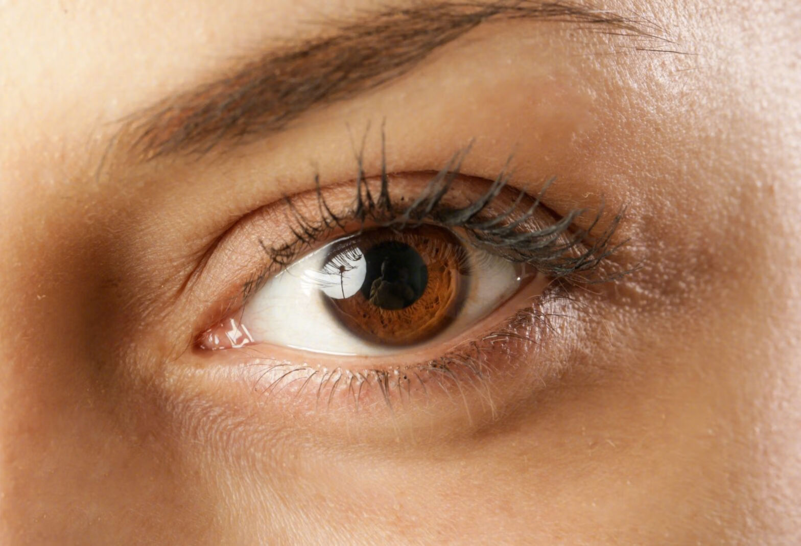 眼睛长息肉和眼睑炎区别有哪些？