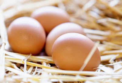 鸡蛋是“全营养食品”，老人小孩吃法不同