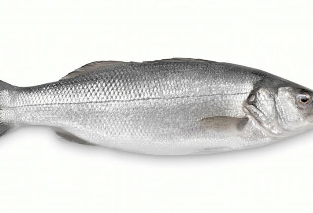 鱼肚子里的“白泡泡”别扔掉，是补肾益精的中药