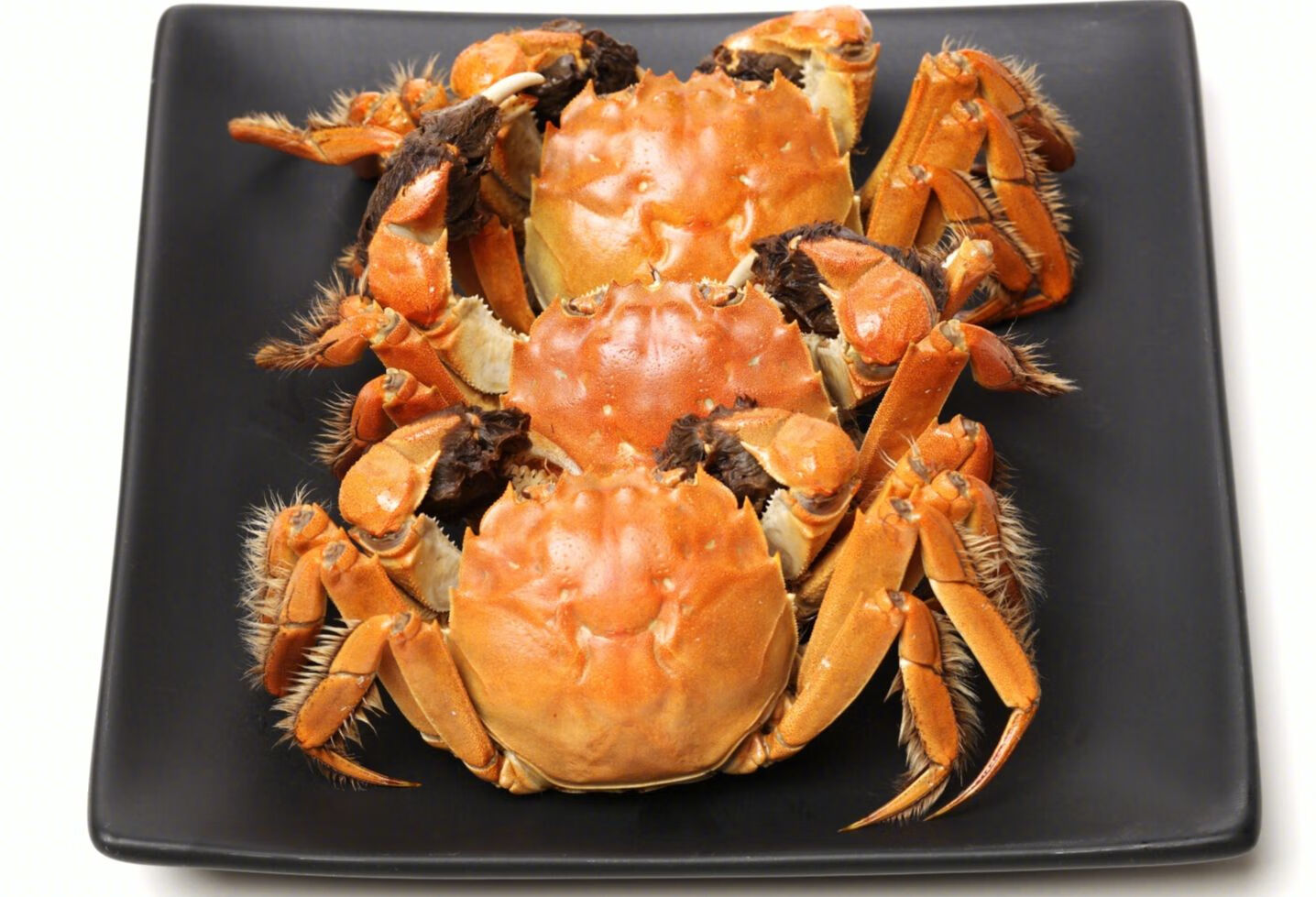 螃蟹和大枣一起吃能中毒？