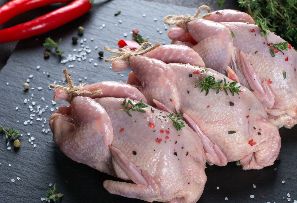 吃鸽子肉对人体有哪些好处？