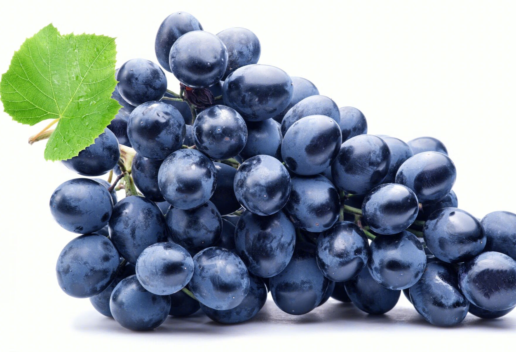 高甘油三酯血症能吃葡萄吗？