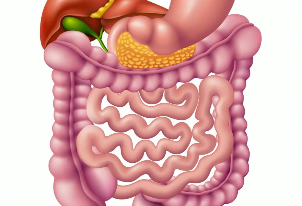 肠胃炎跟肾结石有什么区别？