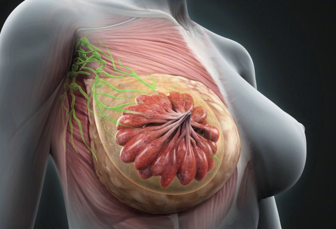 乳腺增生会癌变吗？