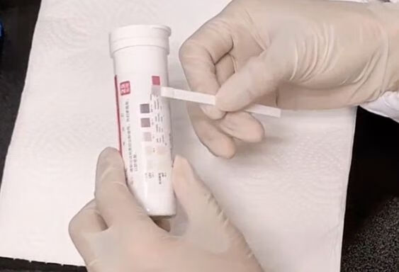 艾科尿液分析试纸条(干式化学法) 使用教程