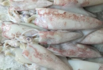 遗传过敏性皮炎能吃海鲜吗 遗传过敏性皮炎饮食有这些禁忌