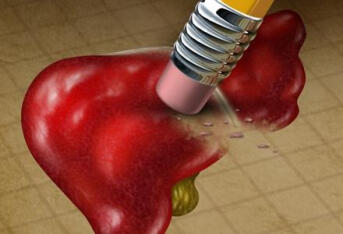 肝脏在激素代谢过程中的作用