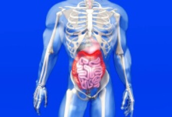 直肠脱垂的主要表现有哪些 直肠脱垂的4个表现很明显