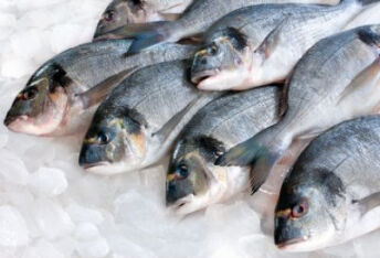鱼身上的3个部位毒素最重，吃一口等于10万细菌入侵