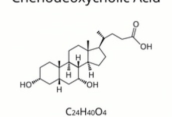 脂肪肝的出现与哪些因素有关 引起脂肪肝的三种原因