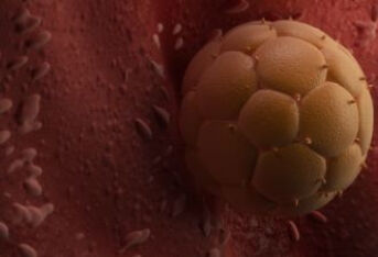 胚胎宝宝在“打洞”！说说着床出血