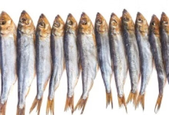 大动脉炎能吃鱼吗 了解大动脉炎的几个饮食注意事项