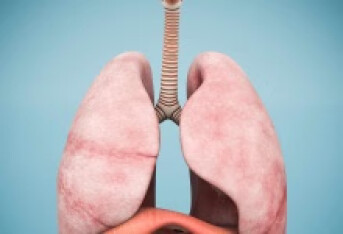 慢性阻塞性肺疾病吃什么中药