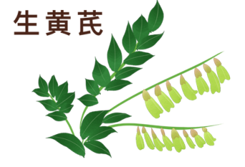 胖妹狂瘦 看中药减肥秘诀