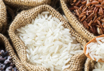 为何不吃米和面，体重下降得会比较快？